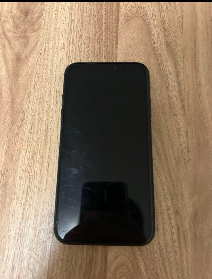 ゴロゴロ先生（iPhone本体）