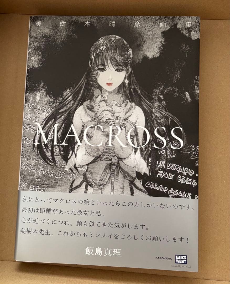 美樹本晴彦画集 MACROSSマクロス