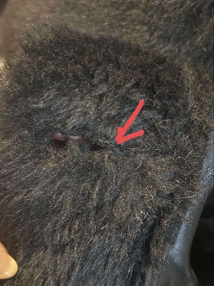 Max Mara MANTO Cape テディベア ケープ