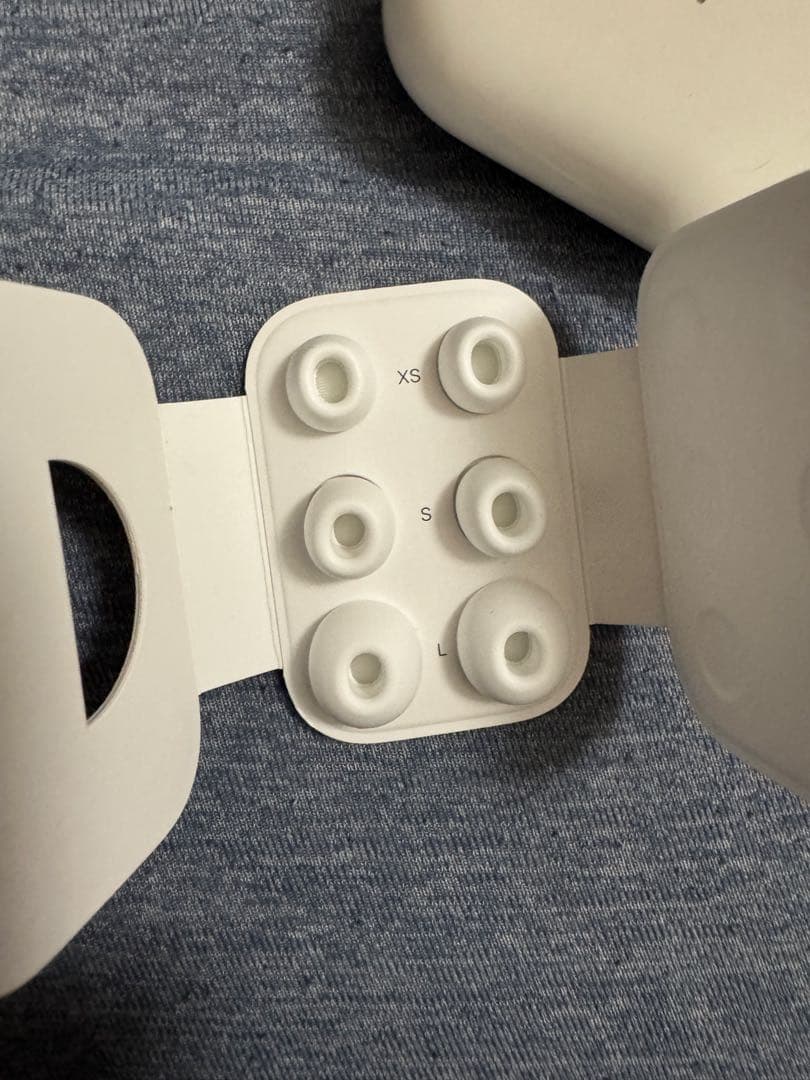 AirPods Pro 2 (Lightning) 本体 付属品ほぼアリ