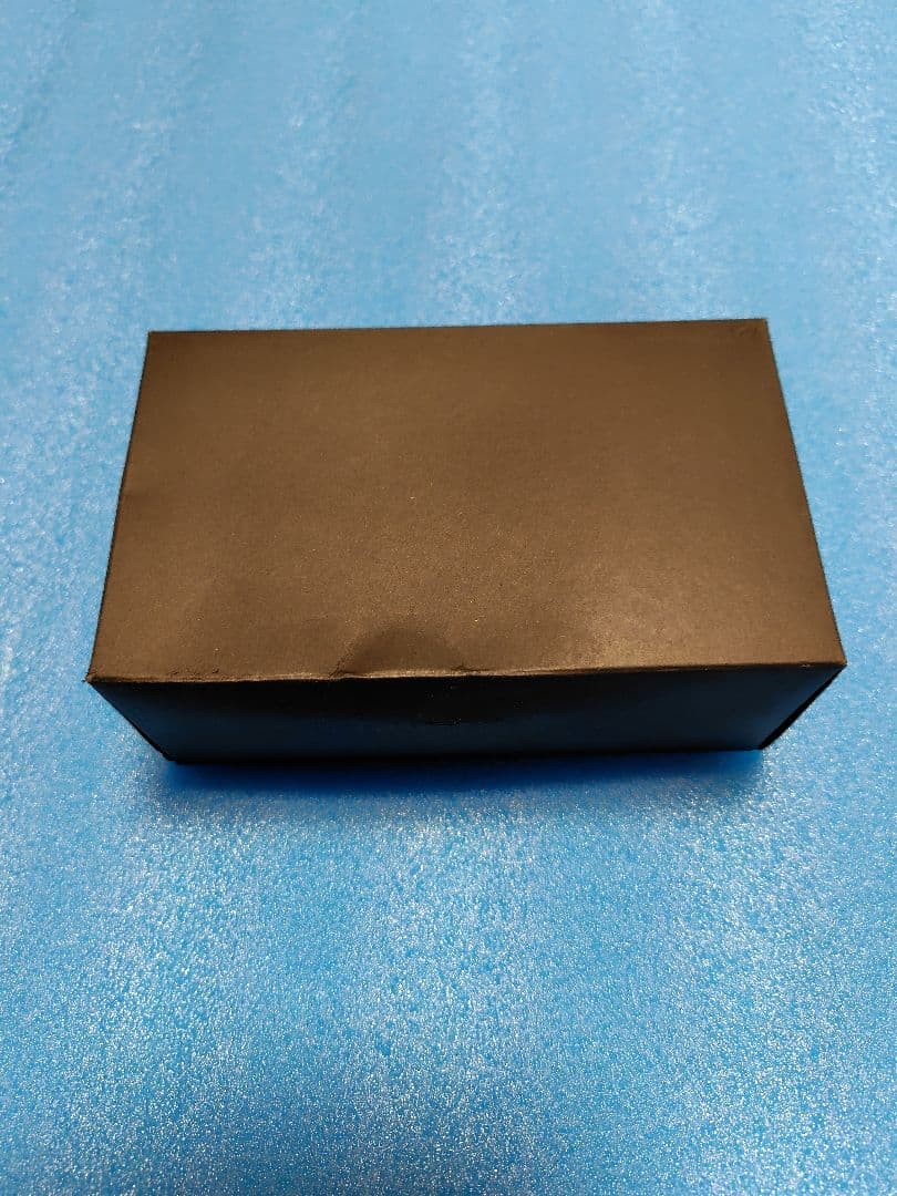 Astell&Kern AK380 AMP用Dignis本革ケース 新品未使用