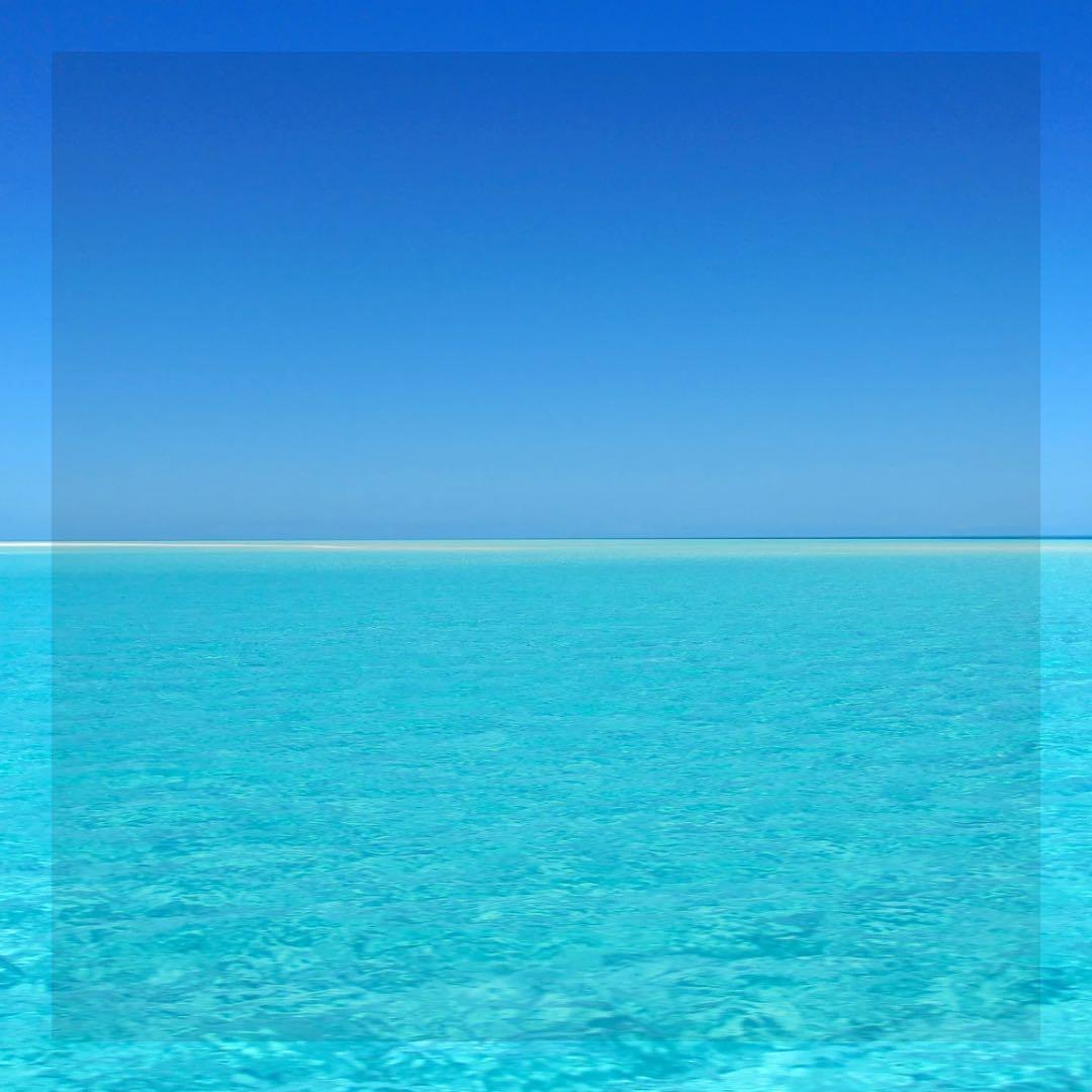 ニナファーム バイオシールド ミストウォーター 化粧水 バイオミスト 3点セット