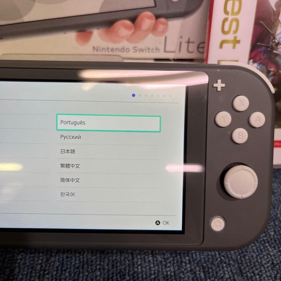 Nintendo Switch Lite グレー　カセット付き