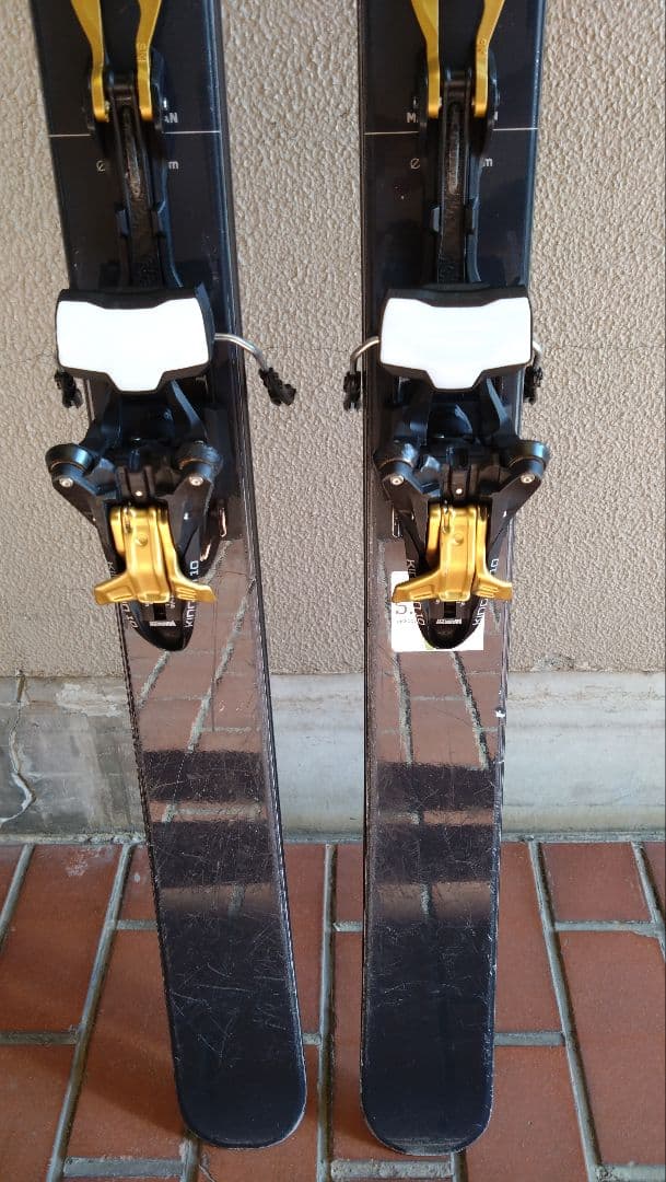 ベクターグライド　コルドヴァ　スタンダード　175cm