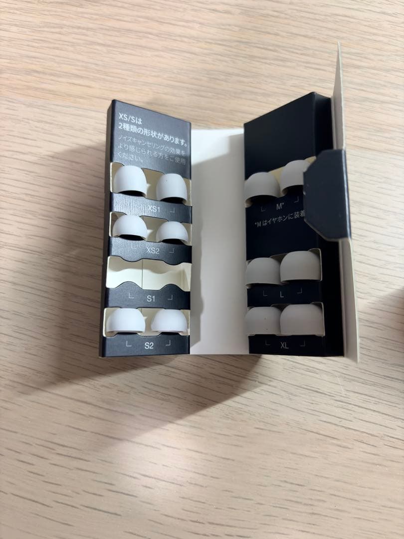 訳あり Technics AZ80 ワイヤレスイヤホン シルバー