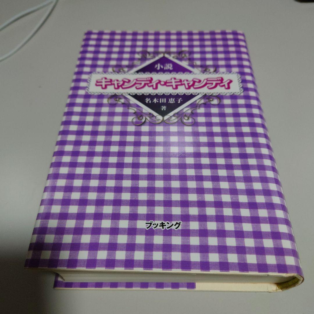 【初版！新装版第一刷発行・美品】小説キャンディ・キャンディ