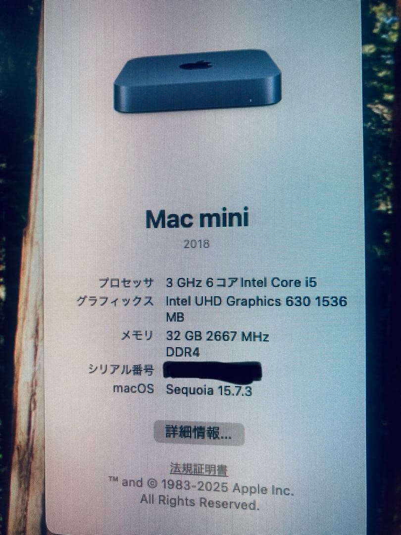 Apple Mac mini 2018 メモリ32GB SSD512GB