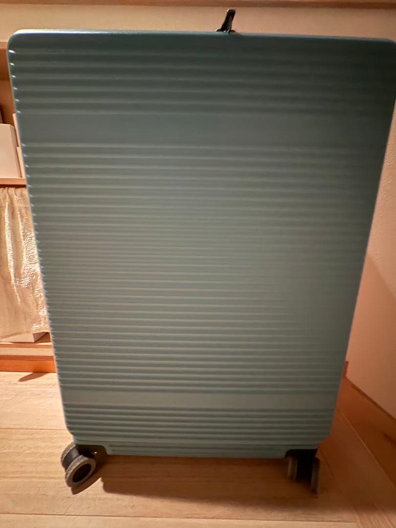 ace サルートンキャリーケース85L/96L カラー：グリーン