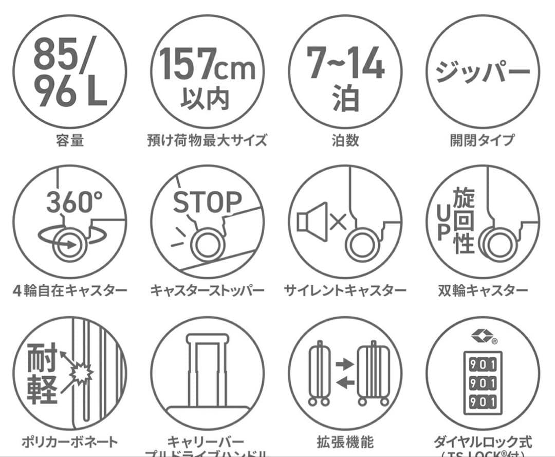 ace サルートンキャリーケース85L/96L カラー：グリーン
