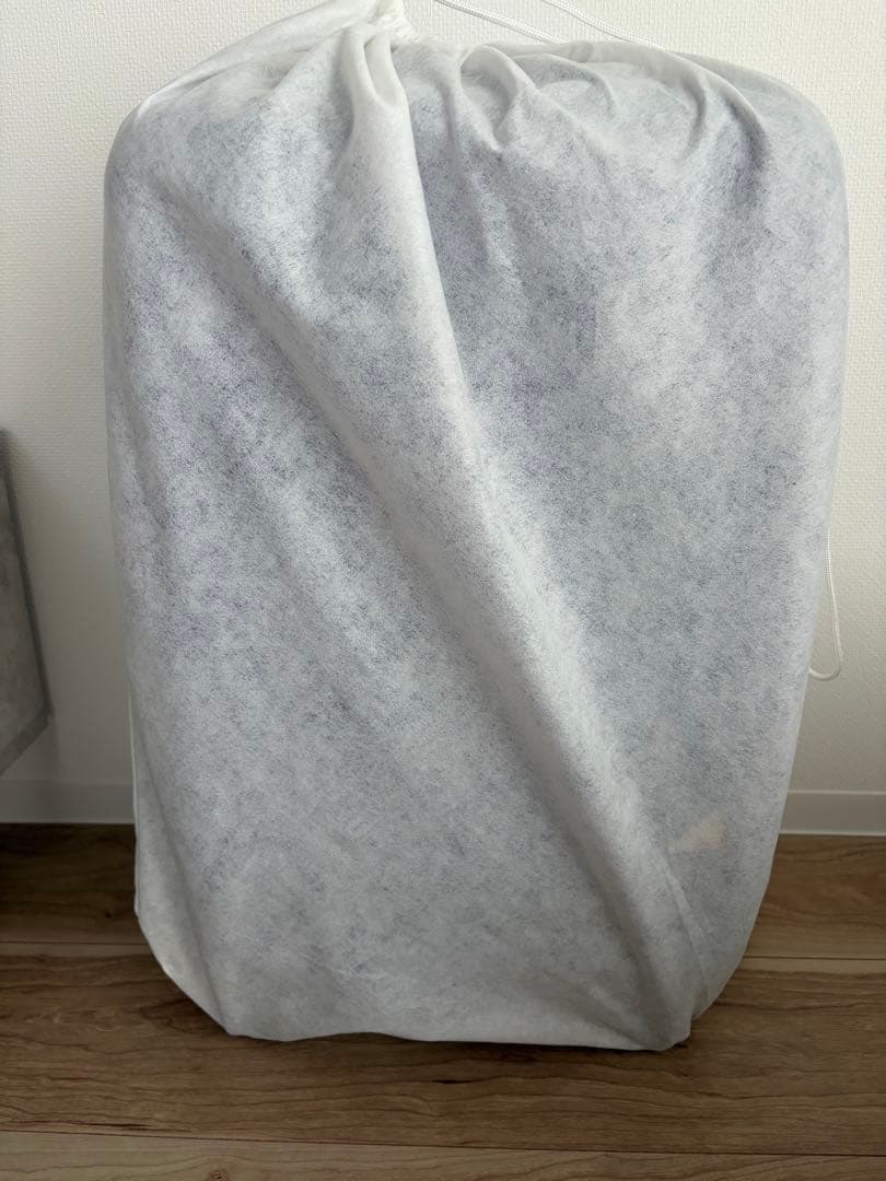 ももクロ×ACE コラボキャリーケース