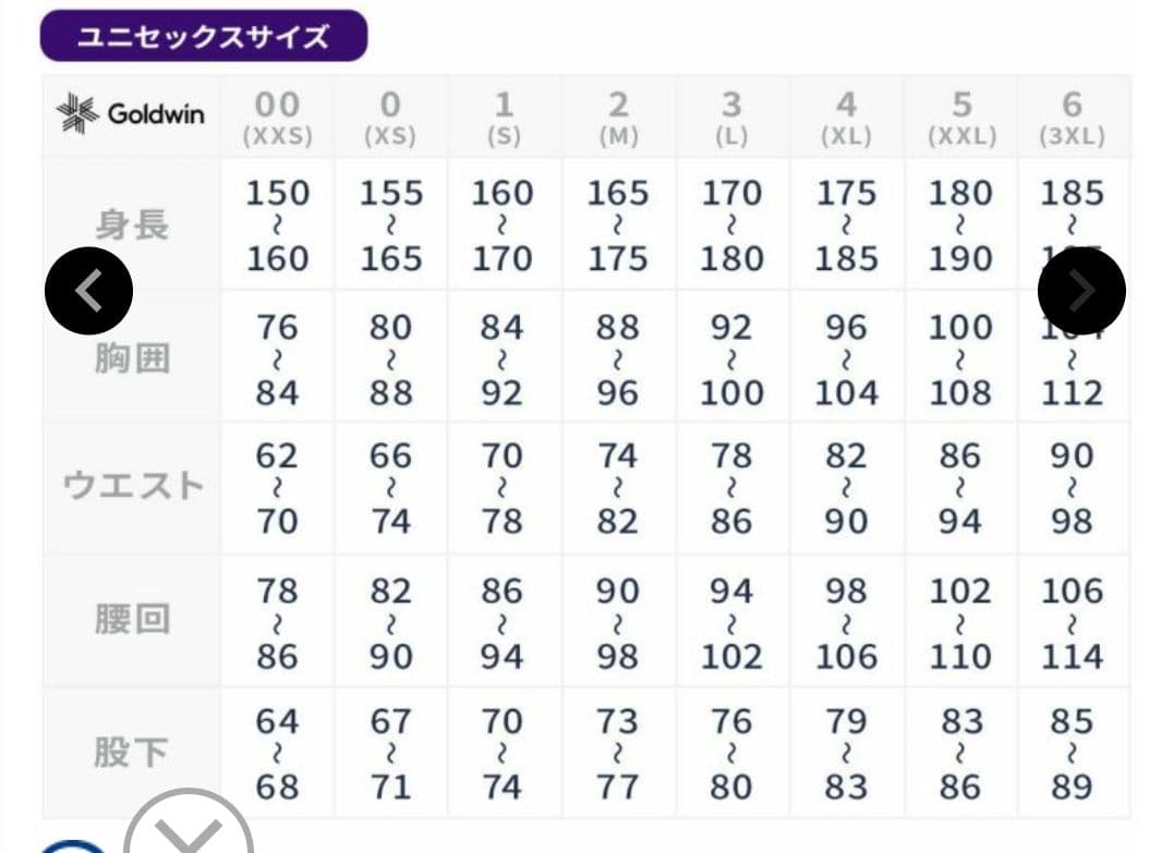 【新品未使用】GOLDWIN G35353 GORE-TEX 2L Pants