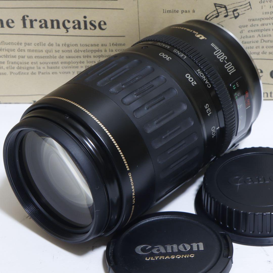 ◇超望遠&高速AF◇Canon純正 300mm 望遠レンズ!!◇
