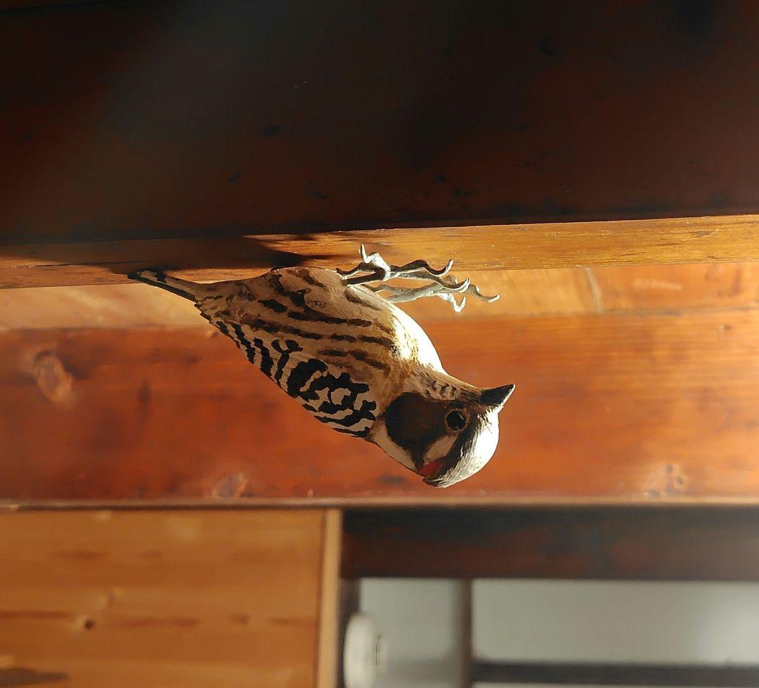 バードカービング コゲラ(キツツキ) マグネット 野鳥 木彫り