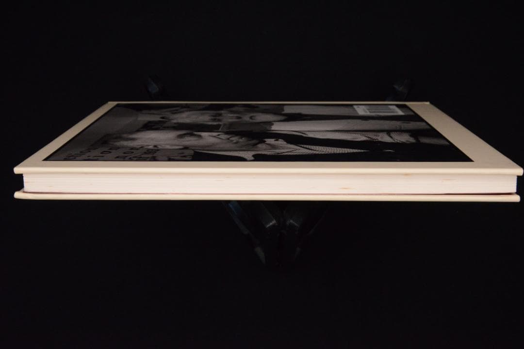 【Kitaj】Lee Friedlander　サイン入　★★大幅に値下げしました