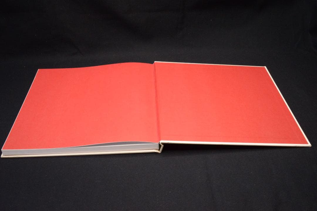 【Kitaj】Lee Friedlander　サイン入　★★大幅に値下げしました