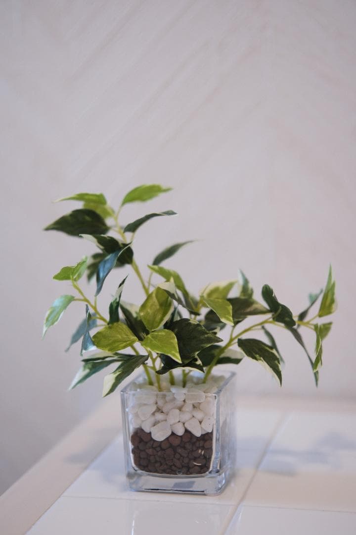 レンズ(単焦点) VILTROX AF 56mm F1.7 X-mount