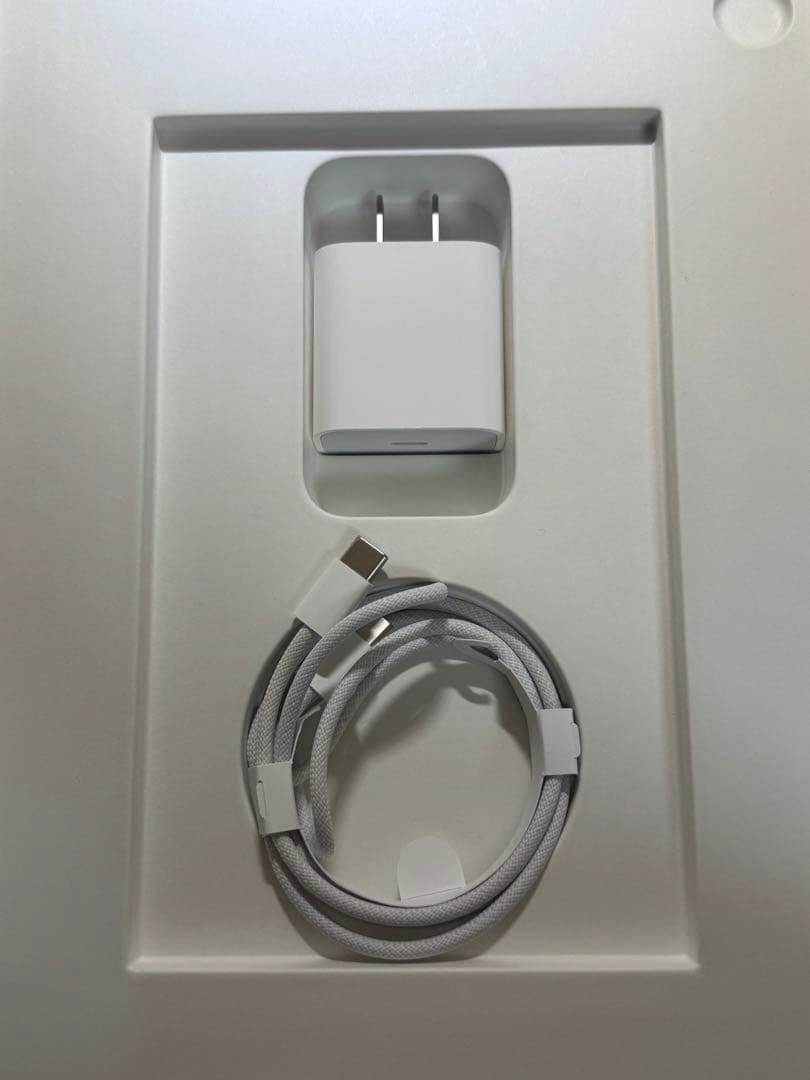 Apple iPad (第10世代) 本体