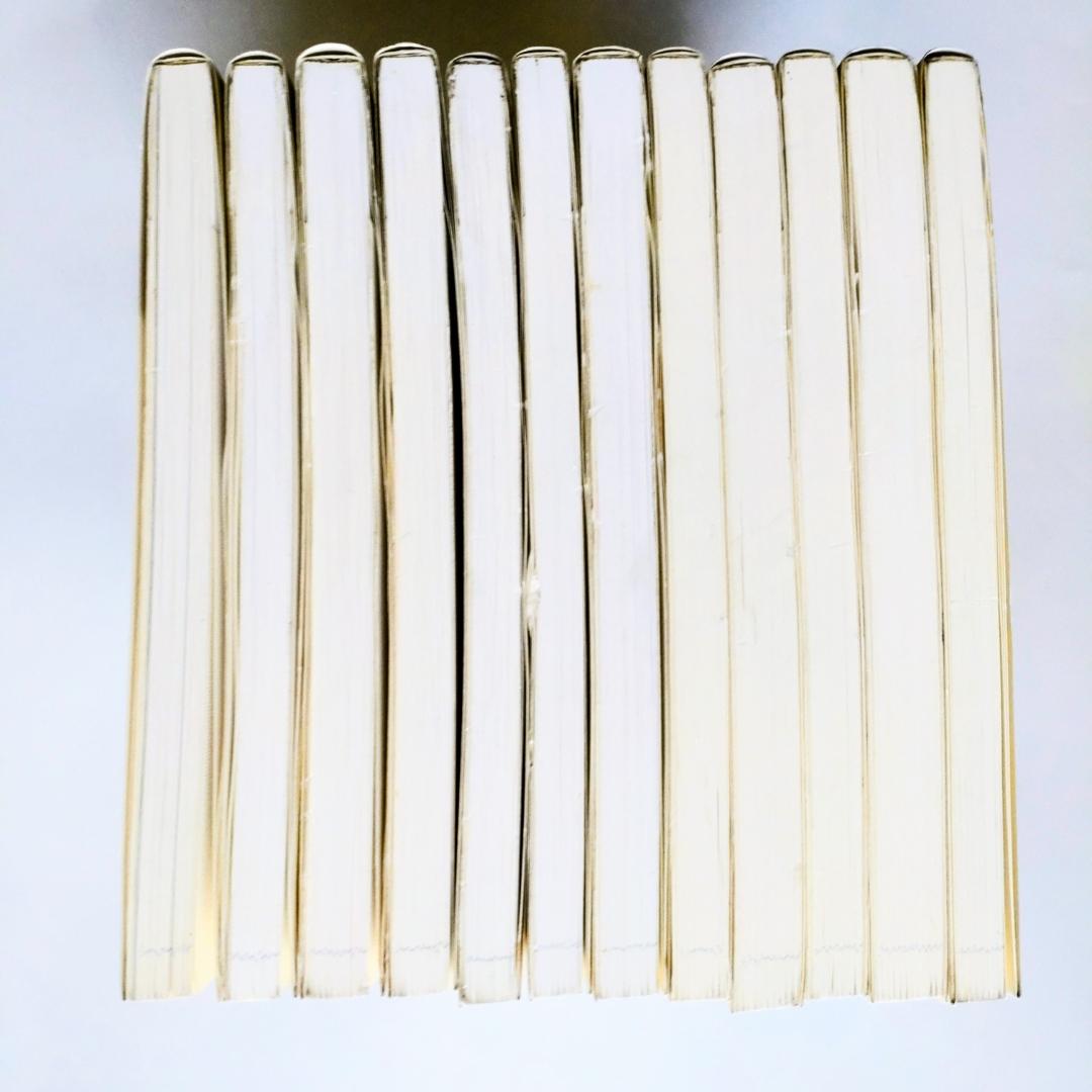 裏千家茶道点前教則 千宗室 淡交社　12冊セット