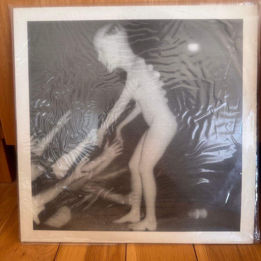 洋楽 Butthole Surfers Double Live Album