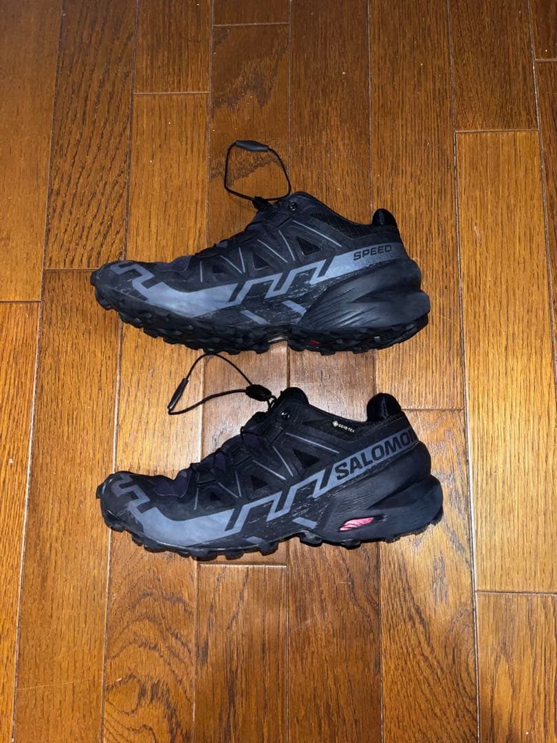 靴 SALOMON SPEEDCROSS 6 GTX W