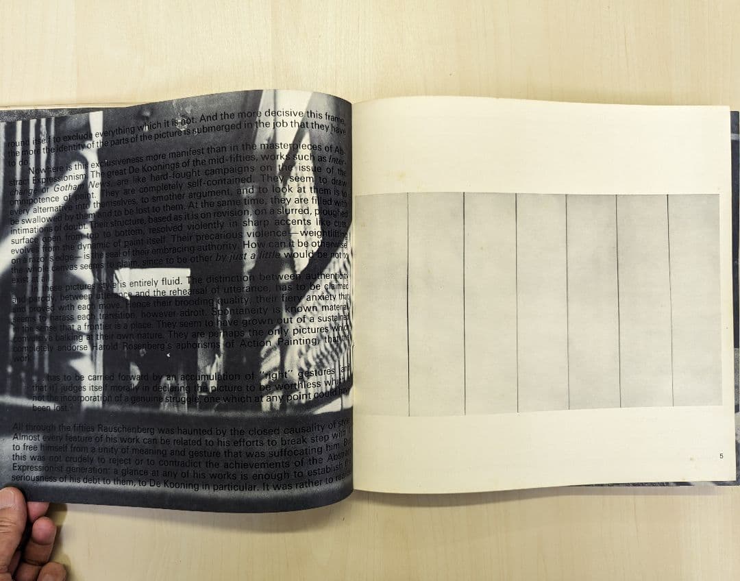 Rauschenberg ラウシェンバーグ　ネオ・ダダ　現代美術