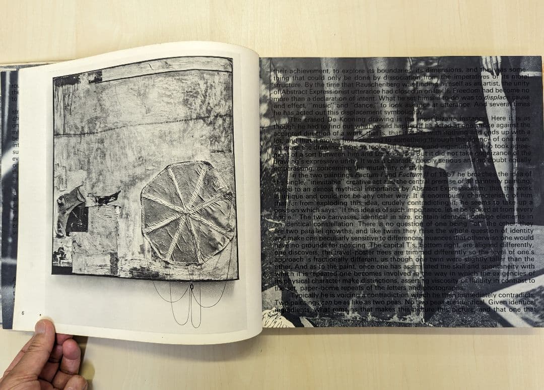 Rauschenberg ラウシェンバーグ　ネオ・ダダ　現代美術