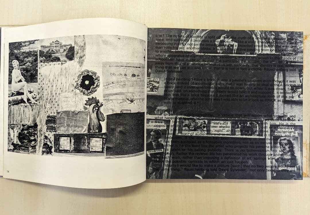 Rauschenberg ラウシェンバーグ　ネオ・ダダ　現代美術