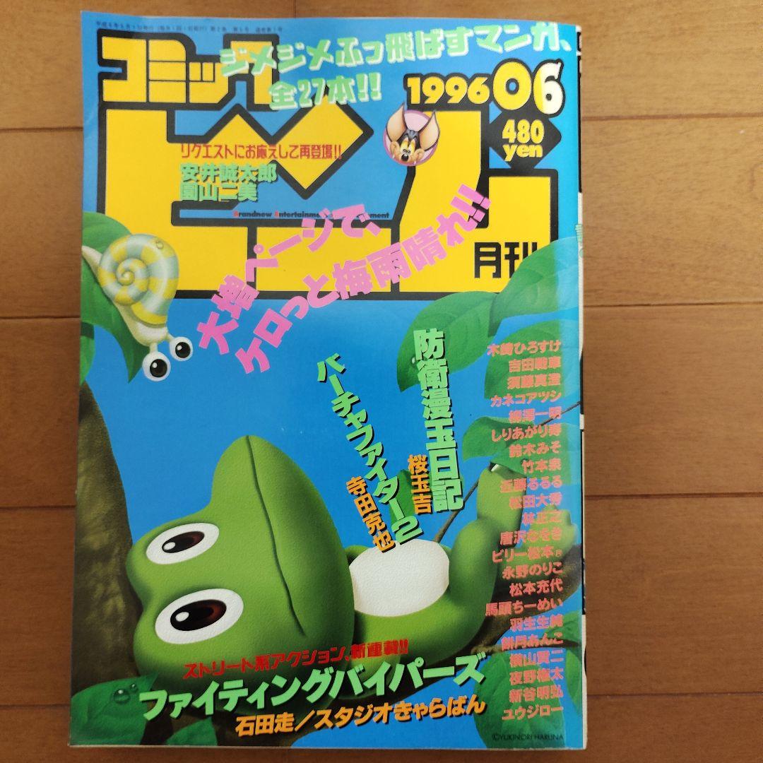 月刊コミック ビーム　1996年 1～12月号　まとめ売り　アスキー