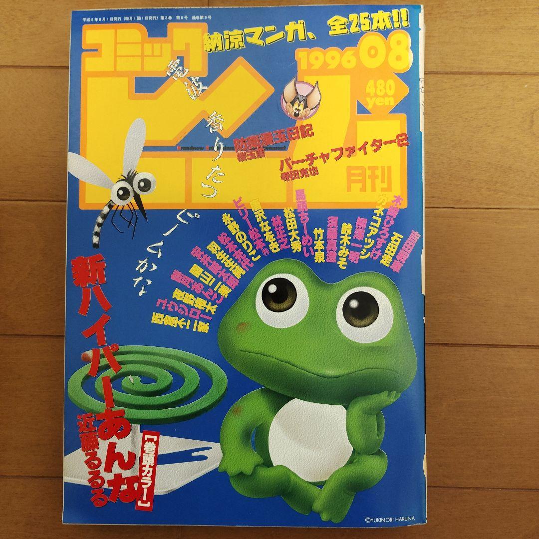 月刊コミック ビーム　1996年 1～12月号　まとめ売り　アスキー