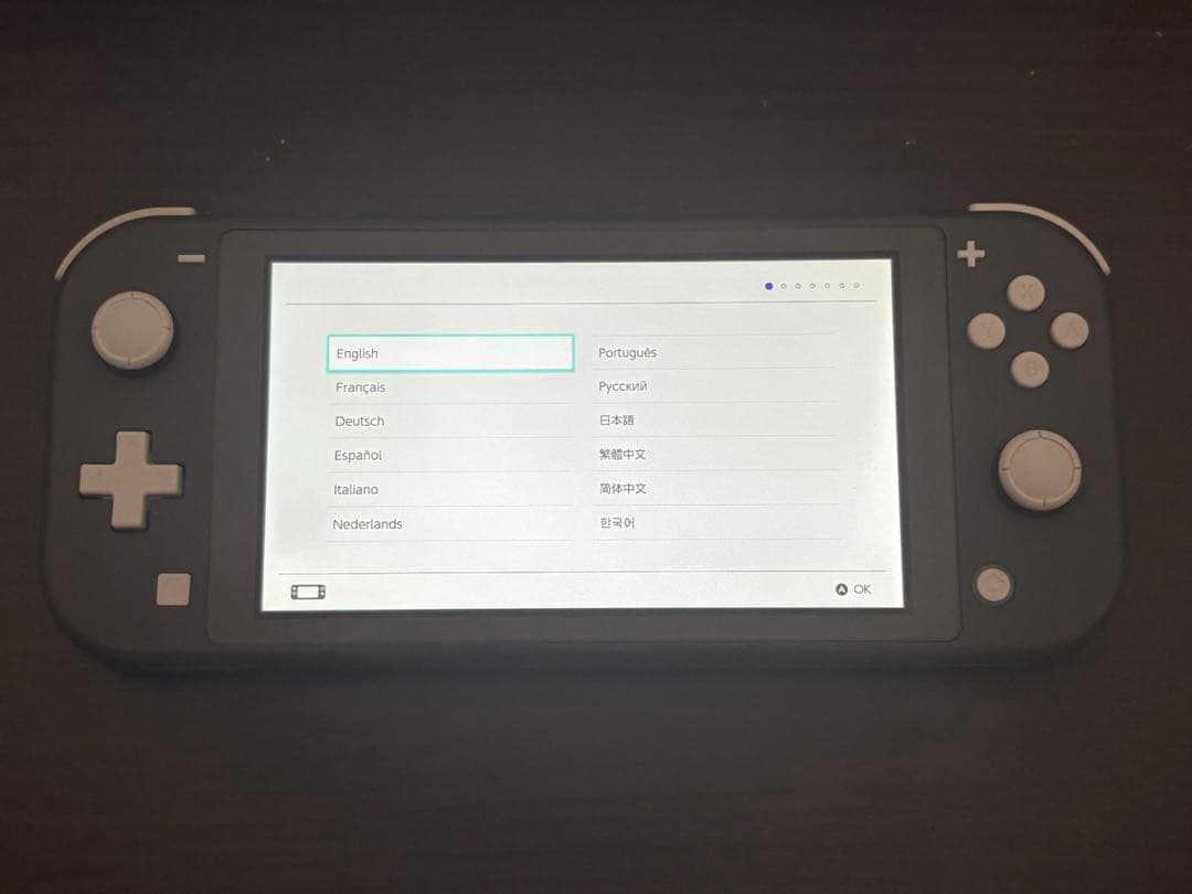 Nintendo Switch Lite グレー 本体 64GB SDカード付