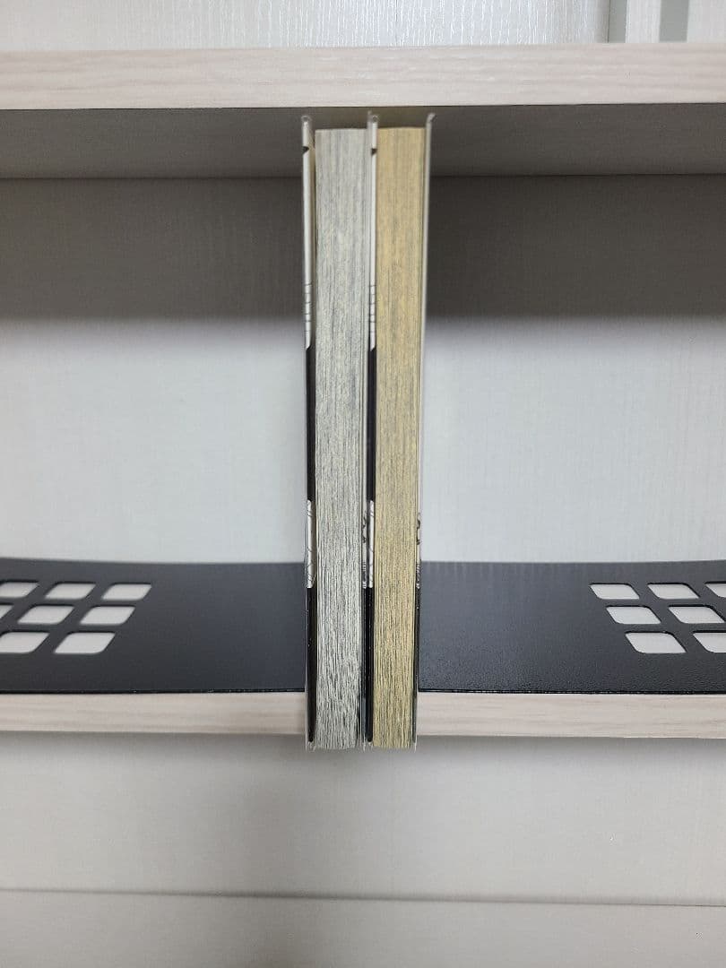 専用　ジョジョの奇妙な冒険　リオン　初版