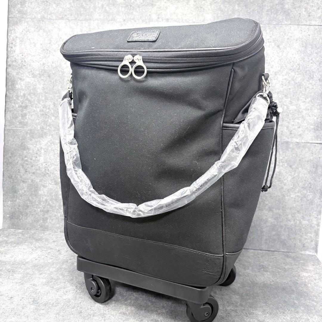 未使用✨スワニーキャリーバッグ イス付き ストッパー付きD-286