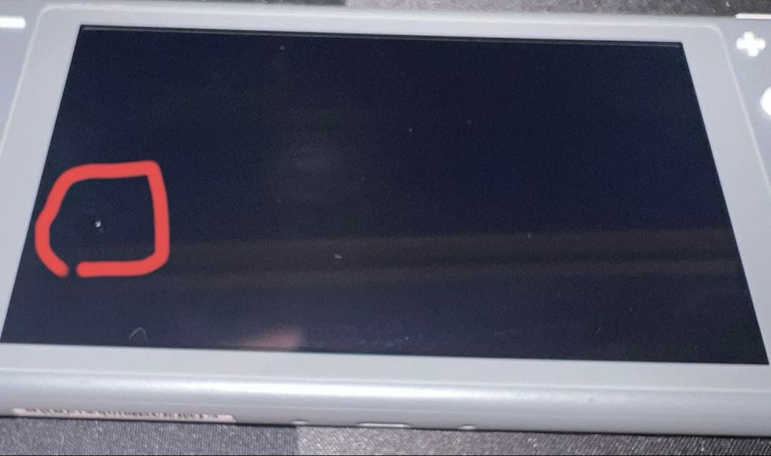 Nintendo Switch Lite グレー　中古