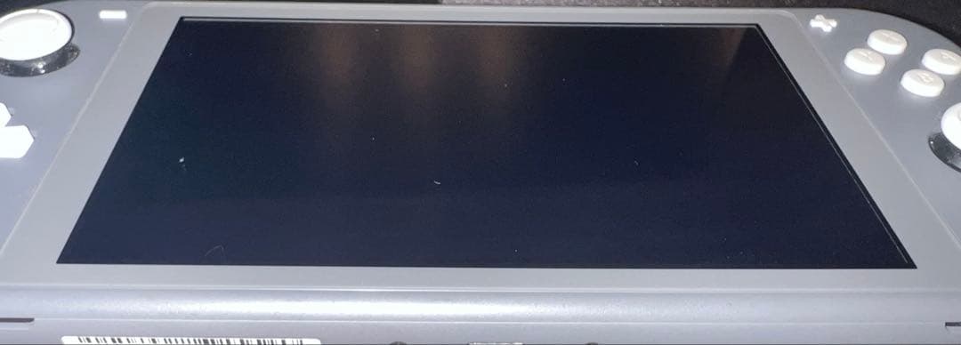 Nintendo Switch Lite グレー　中古