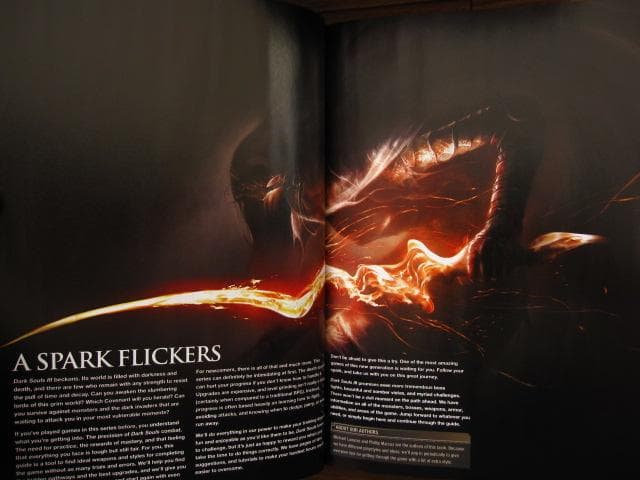 Dark Souls III Estus Flask Edition　限定版