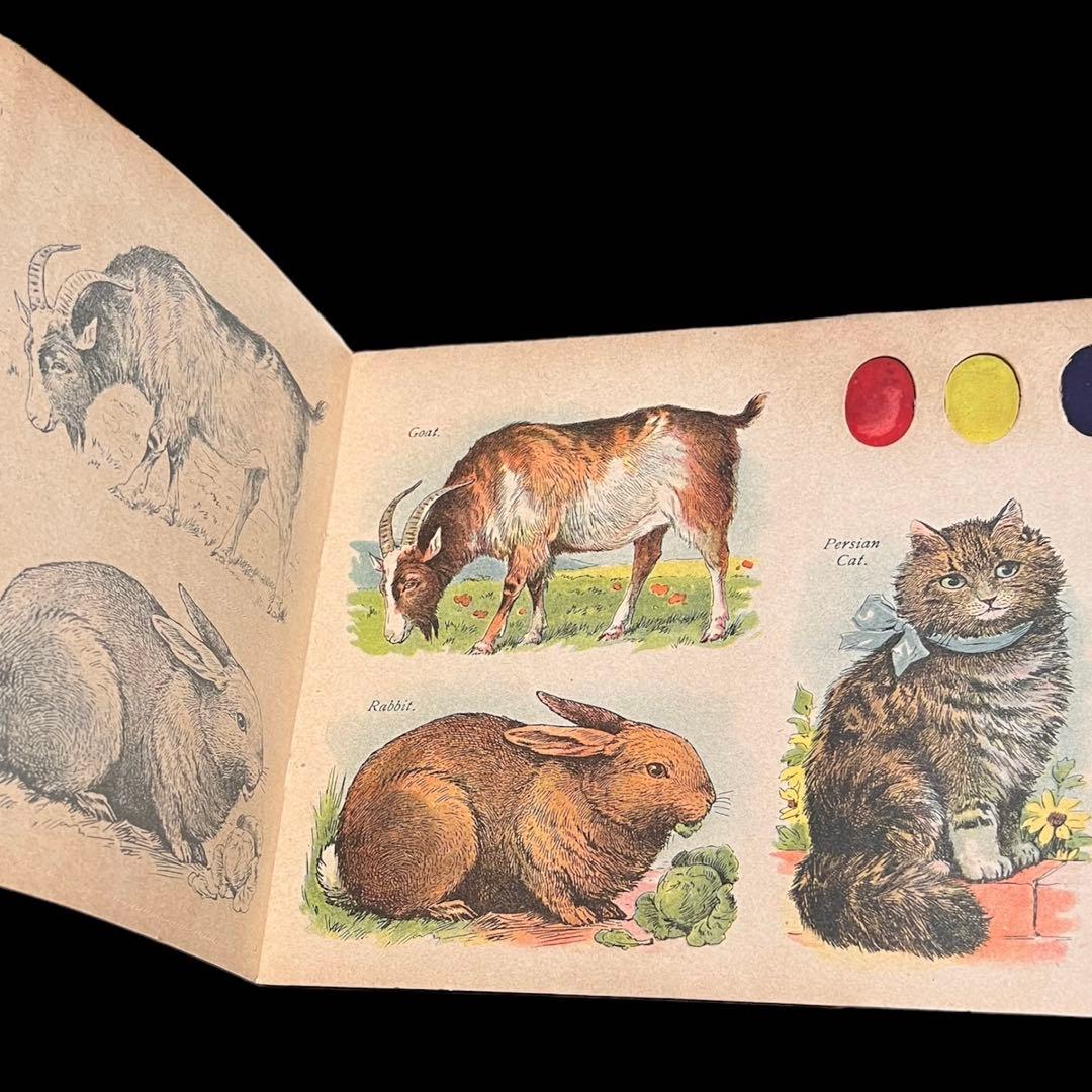 1907年　絵画　洋書　postcard painting book