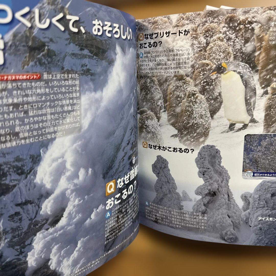 7冊セット 講談社の動く図鑑 move 植物 鳥 は虫類 魚 大自然 人体