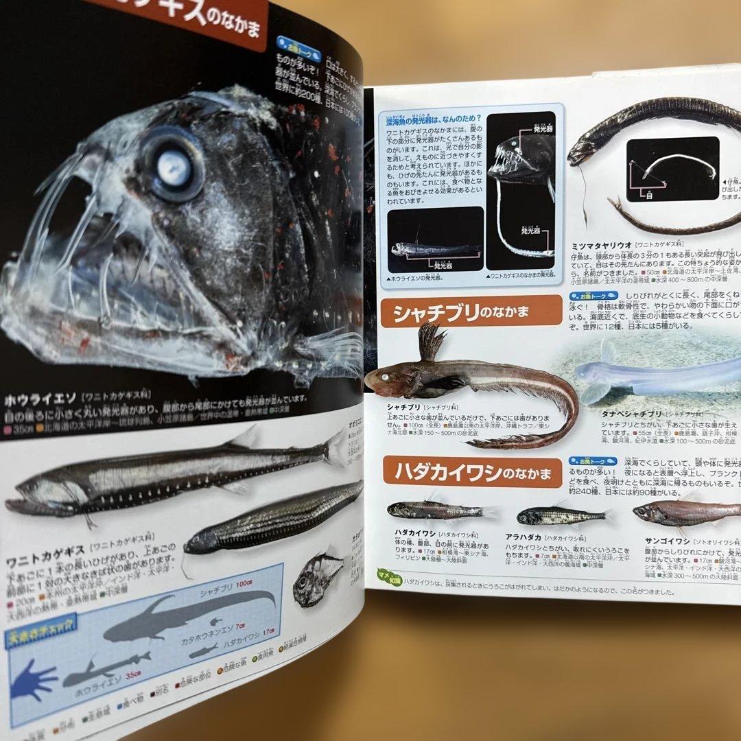 7冊セット 講談社の動く図鑑 move 植物 鳥 は虫類 魚 大自然 人体