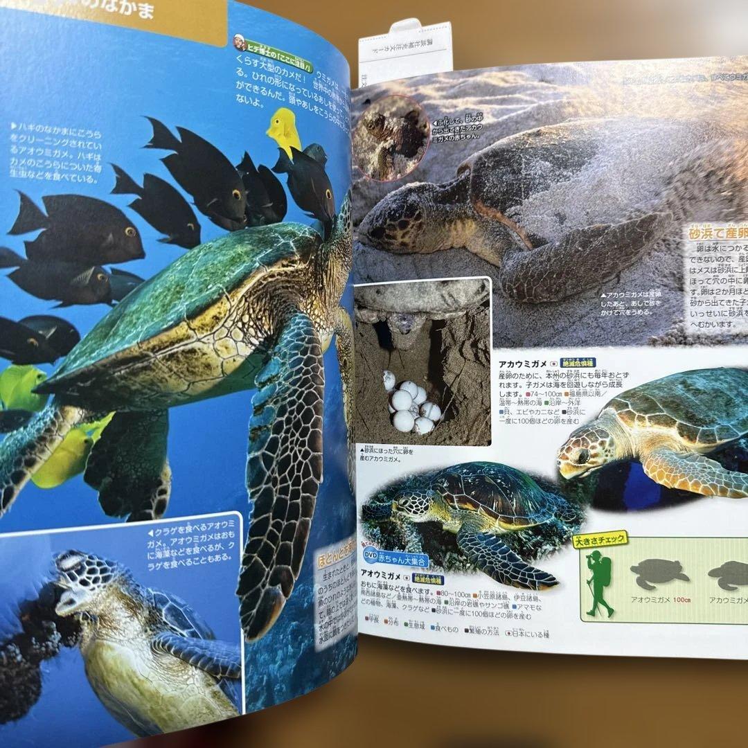 7冊セット 講談社の動く図鑑 move 植物 鳥 は虫類 魚 大自然 人体