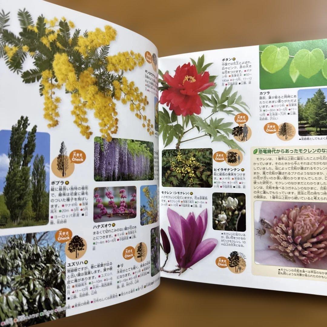 7冊セット 講談社の動く図鑑 move 植物 鳥 は虫類 魚 大自然 人体