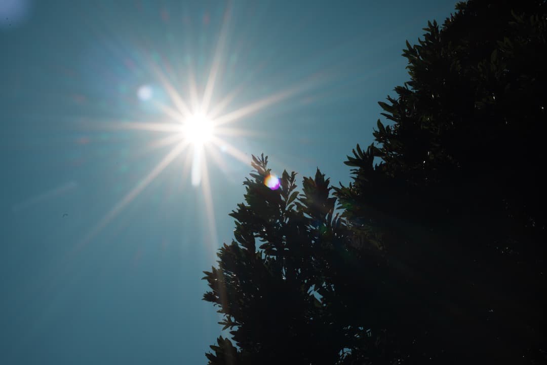 整＆テ Nikon Ai-s Micro-Nikkor 55mm F2.8 05