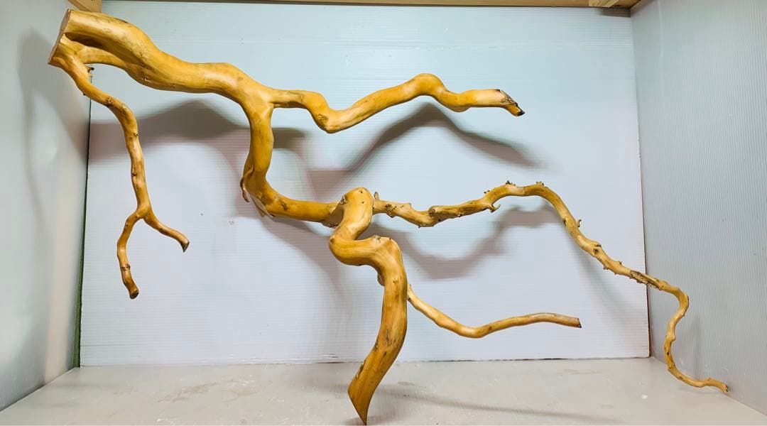 水槽用流木レイアウト　水槽。流木　。水生植物。流木 アクアリウム 盆栽流木