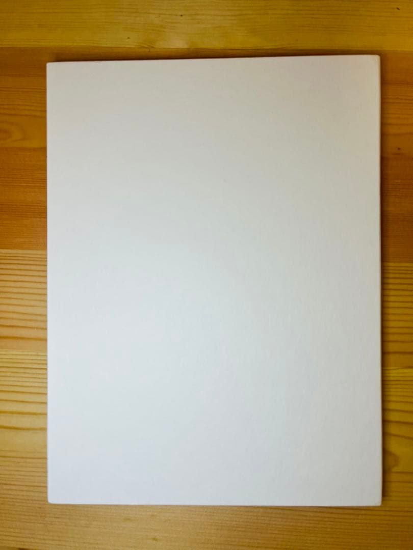 3/16まで出品 女王蜂 白兵戦 パワーパフステッカー バンドエイド おまけ付