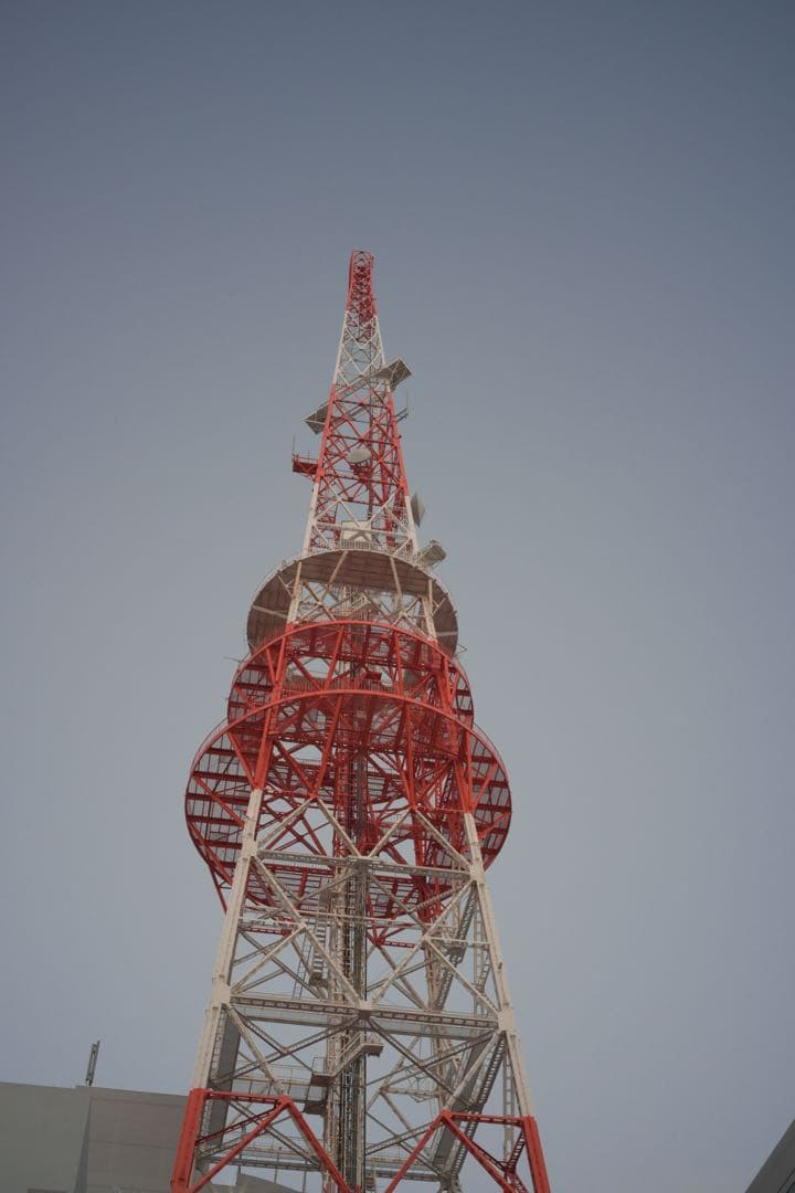 わ*ん様 NOKTON classic 40mm F1.4 MC 12月購入 美