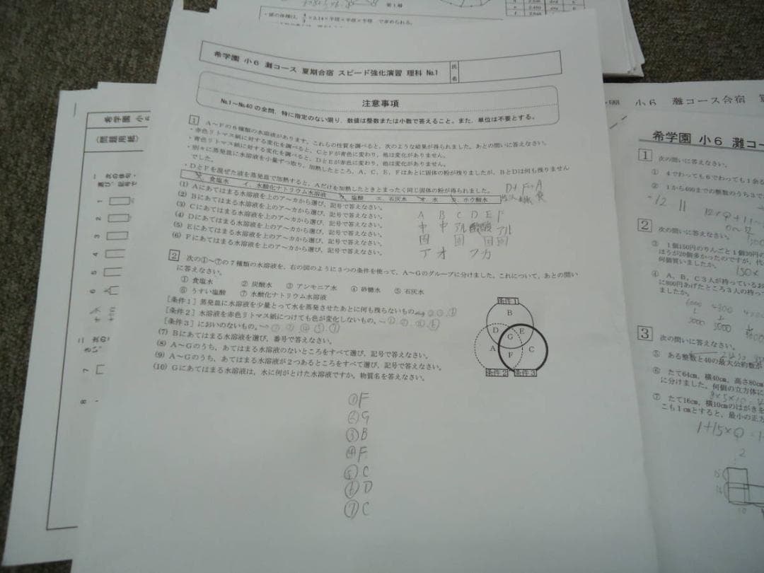 希学園　小6　灘コース　夏期合宿　　国算理テキスト　2019年度使用版