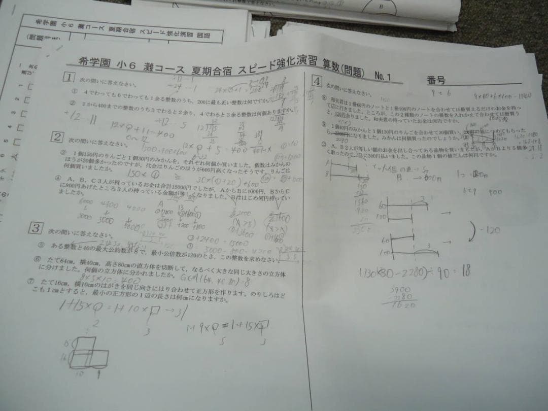 希学園　小6　灘コース　夏期合宿　　国算理テキスト　2019年度使用版