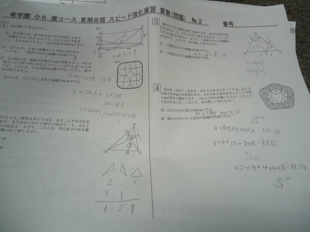 希学園　小6　灘コース　夏期合宿　　国算理テキスト　2019年度使用版