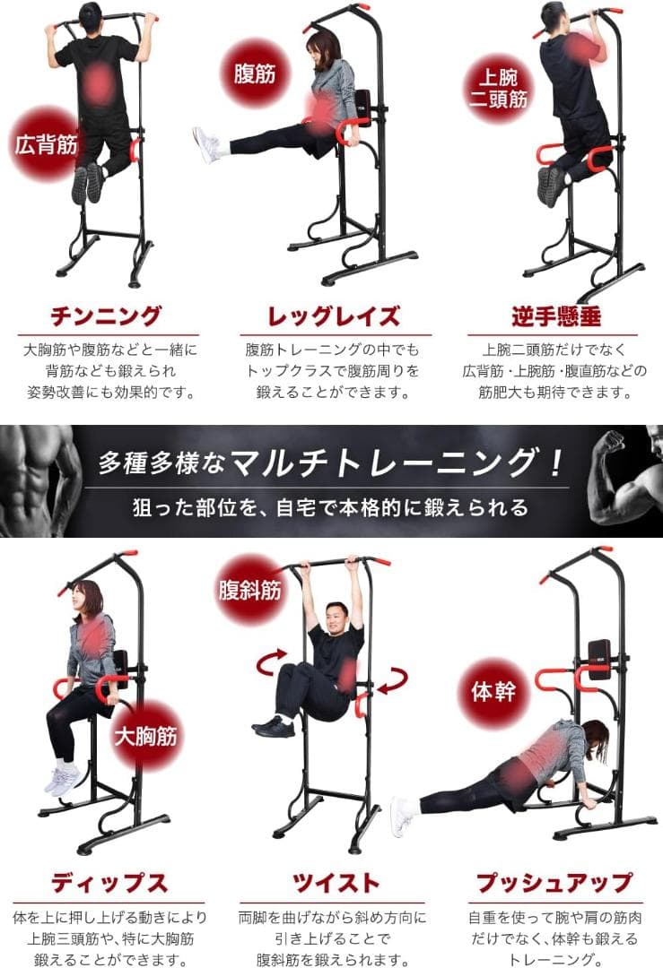 PYKES PEAK (パイクスピーク) ぶら下がり健康器 懸垂マシン 懸垂バー