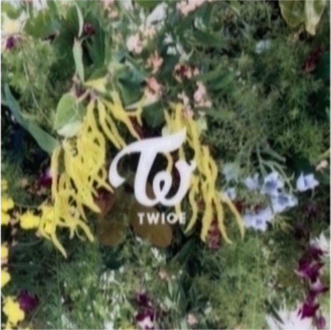 専用　TWICE  カードケース　celebrate