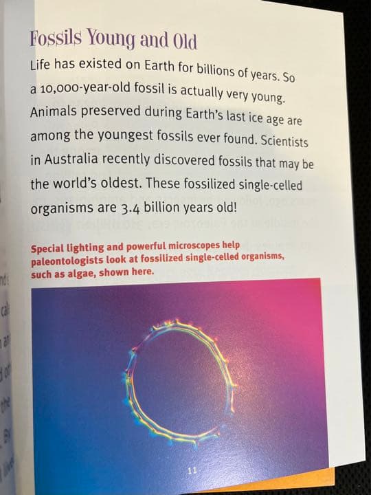 洋書　A true book シリーズ　33冊